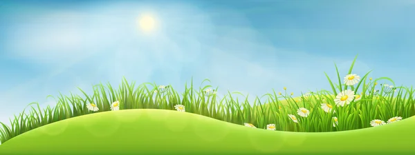 Green summer landscape — Stock Vector