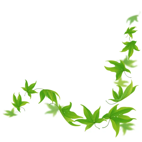 Fresh green leaves — Stock Vector