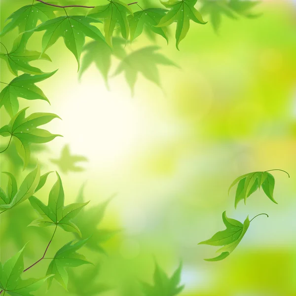 녹색 잎 배경 — 스톡 벡터