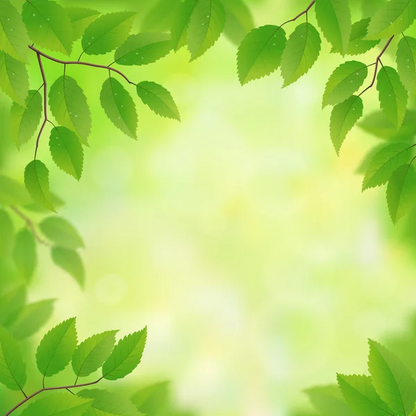 Spring green leaves — Stock Vector