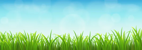 Grünes Gras und blauer Himmel — Stockvektor