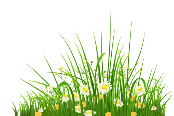Grünes Gras und Blumen — Stockvektor