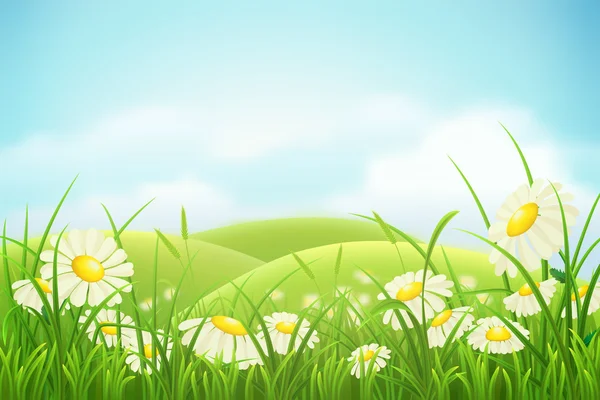 Spring meadow — Stock Vector