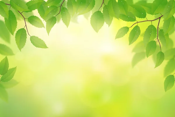 緑の葉の背景 — ストックベクタ