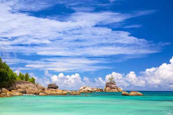 Seychelles coastline — Stock Photo, Image