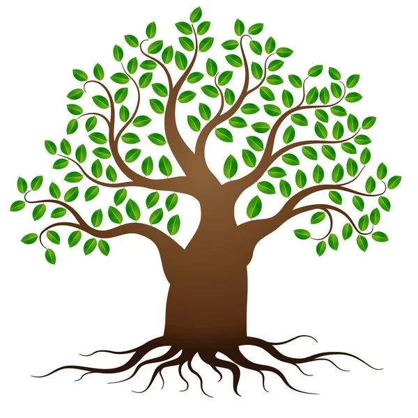Векторное зеленое дерево с корнями — стоковый вектор