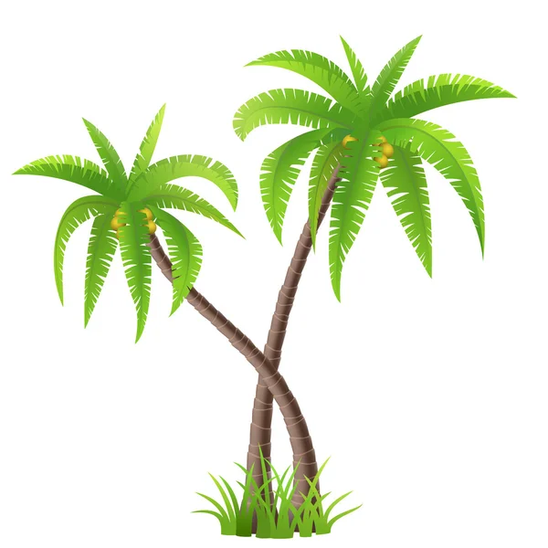 Kokospalmer — Stock vektor