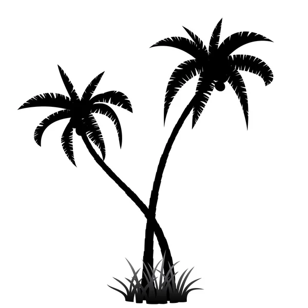 Palm tree silhouette — Stock Vector