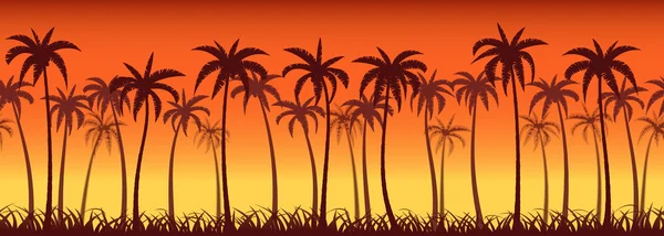 Palmen Sonnenuntergang — Stockvektor