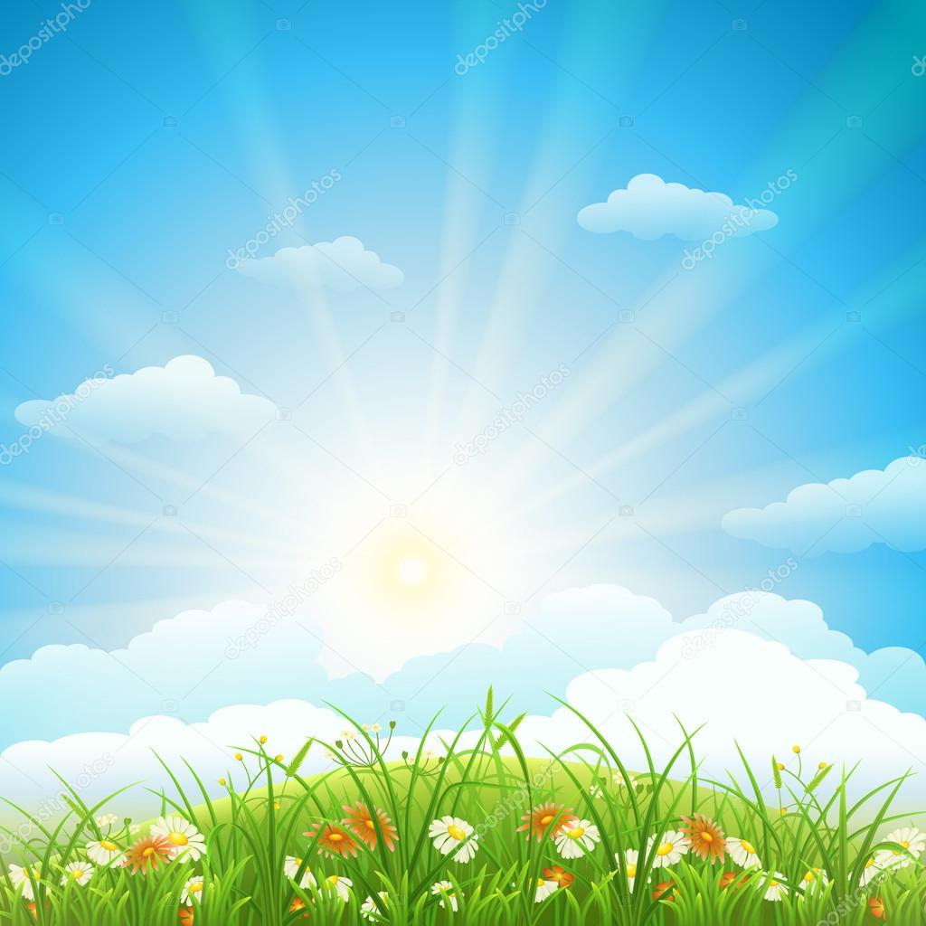 Summer meadow background