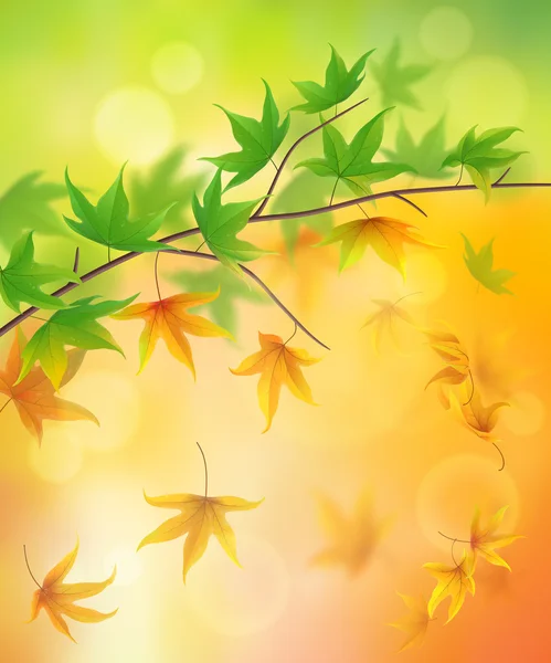 From summer to autumn — Stock Vector