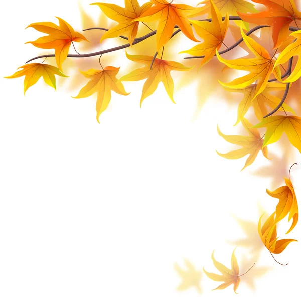 Autumn branch with maple leaves — Stock Vector