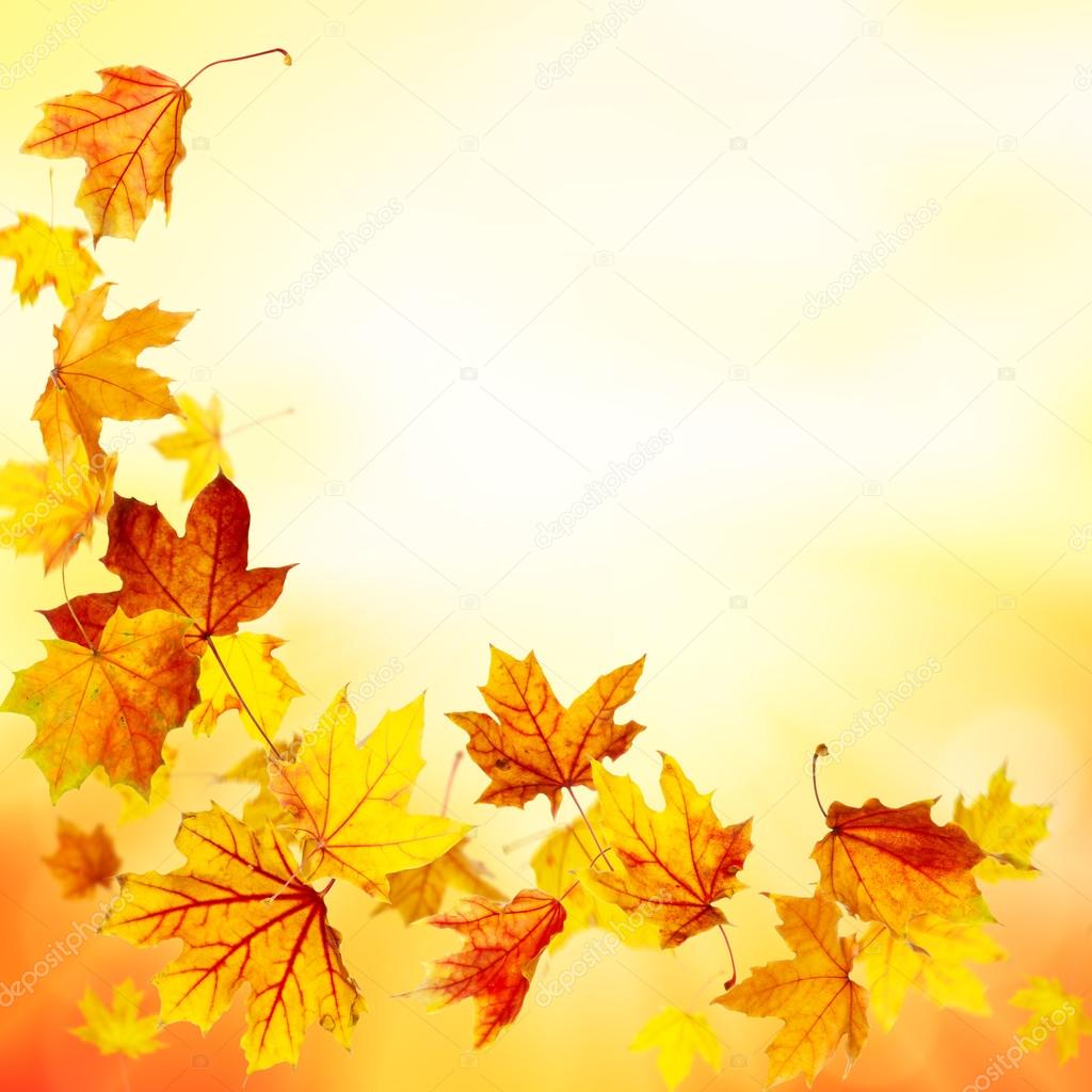 Falling maple leaves background 