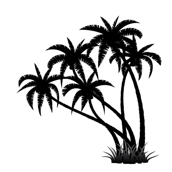 Palm trees silhouette