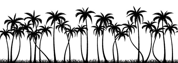 Palms grove silhouette