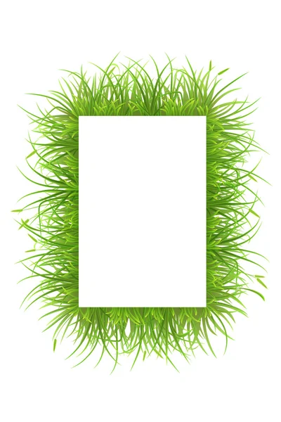 Frame with grass — Stock Vector