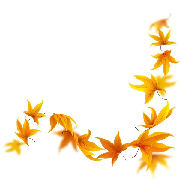 Hojas caídas de otoño — Vector de stock