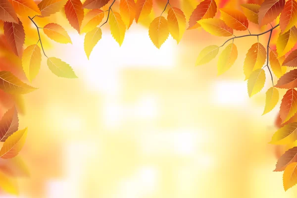 Fondo del marco de otoño — Vector de stock