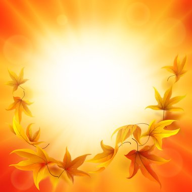 sonbahar yaprakları arka plan