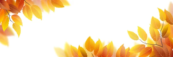 Banner de hojas de otoño — Vector de stock