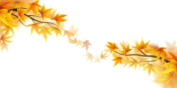 Autumn fronds — Stock Vector