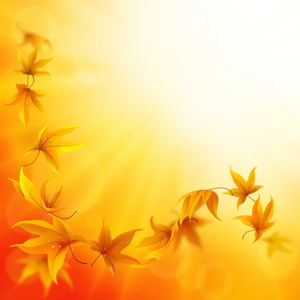 Autumn leaves background — Stock Vector