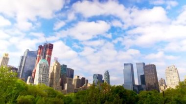 Central park ve manhattan skyline