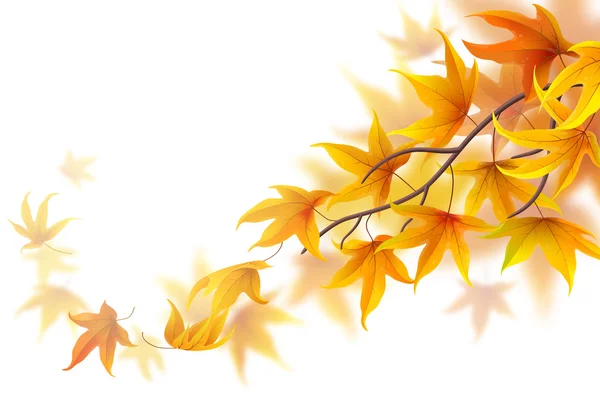 Autumn frond — Stock Vector