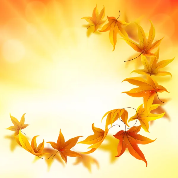 Hermosas hojas de otoño fondo — Vector de stock