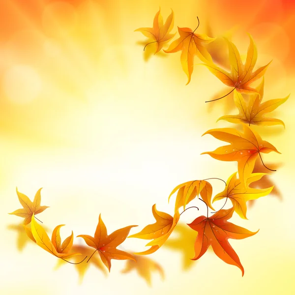 Beautiful autumn leaves background — Stock Vector