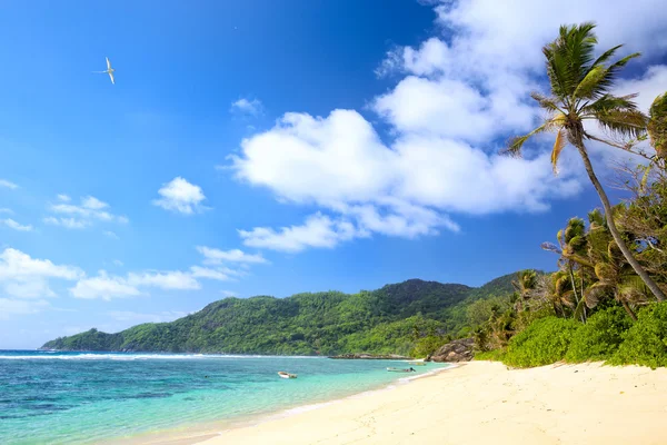 Seychellen zand strand — Stockfoto
