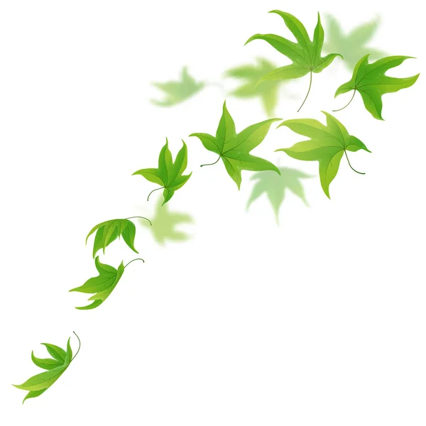 Čerstvé zelené listy — Stockový vektor
