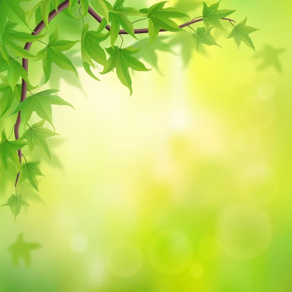 Зеленые листья фона — стоковый вектор