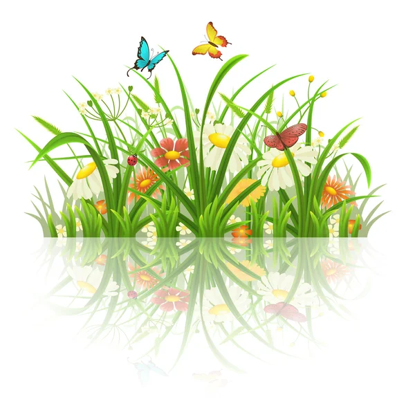 Primavera grama verde e flores — Vetor de Stock
