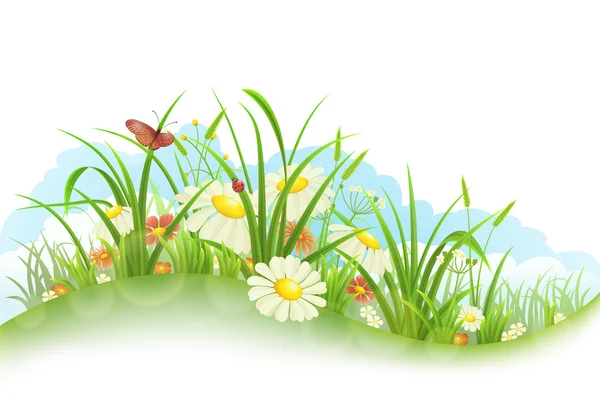 Grass and flowers — Stock Vector