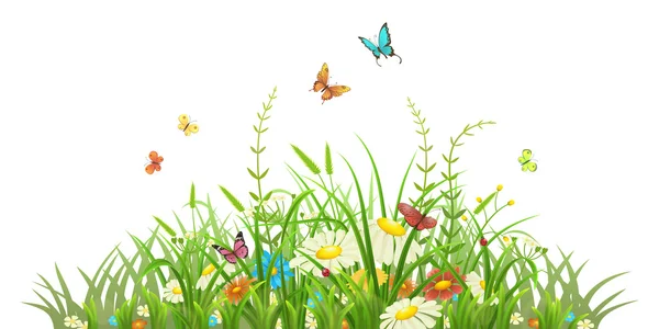 Άνοιξη, καταπράσινο γκαζόν με λουλούδια — Διανυσματικό Αρχείο