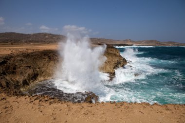 Şaşırtıcı Aruba