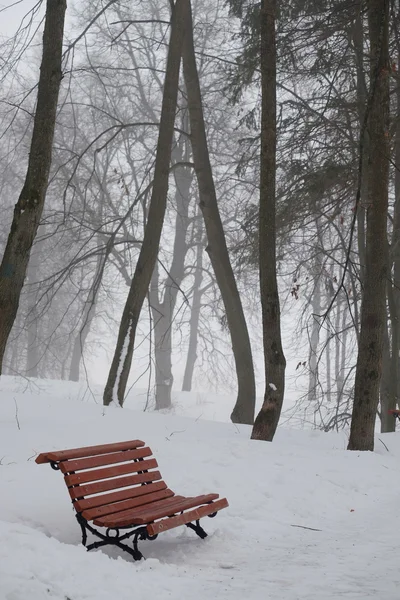 Bänk i parken — Stockfoto