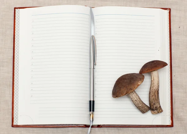 蘑菇和笔记本 — 图库照片