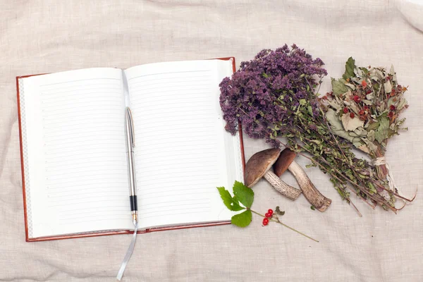Suszone zioła i notebooków — Zdjęcie stockowe