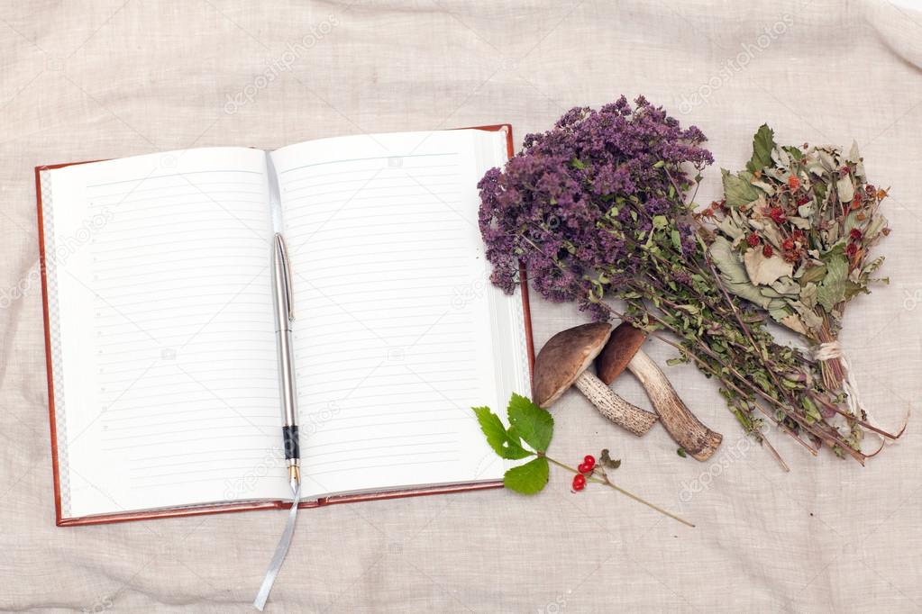 Dried herbs and notebook