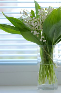 Penceresinde Vadideki Zambak