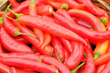 kırmızı biber yakın çekim