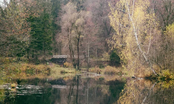 Όμορφο Φθινοπωρινό Δάσος Δίπλα Στη Λίμνη Και Την Παλιά Γέφυρα — Φωτογραφία Αρχείου