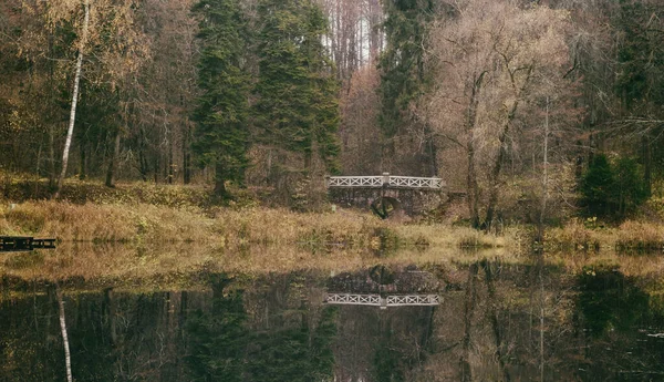 Schöner Herbstwald See Und Die Alte Brücke — Stockfoto