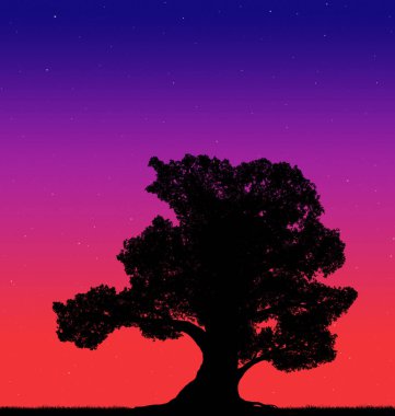 Akşam gökyüzünün arka planında yıldızlı büyük bir ağacın silueti.