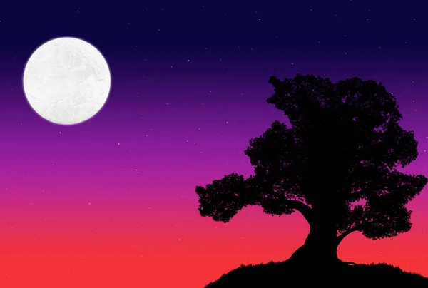 Beautiful Silhouette Big Tree Background Evening Sky Stars Moon — Stock Photo, Image