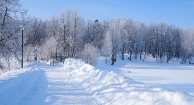 Karla kaplı bir parkta, sabahın erken saatlerinde ayazla kaplı güzel ağaçların arasında.