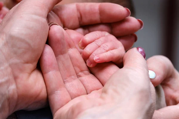 Bela Mão Pequena Bebê Recém Nascido Uma Mão Feminina — Fotografia de Stock