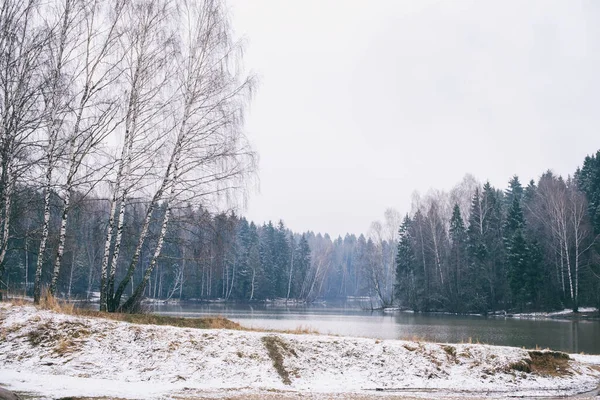 Belas Bétulas Margem Lago Primavera Com Restos Neve Fundo Lago — Fotografia de Stock